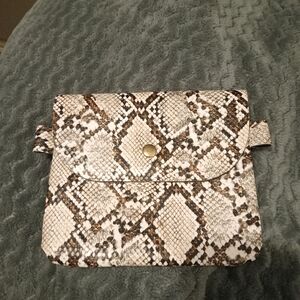 Snakeskin Pouch
